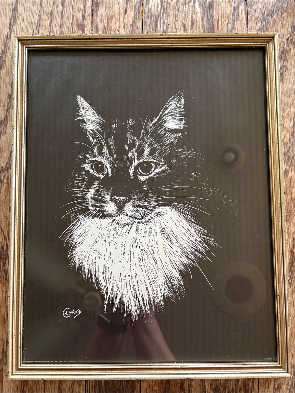 Black & White Cat Portrait Print – Framed Wall Art